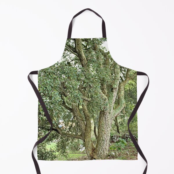 Item preview, Beautiful Cork Oak Tree designed and sold by worldways.
