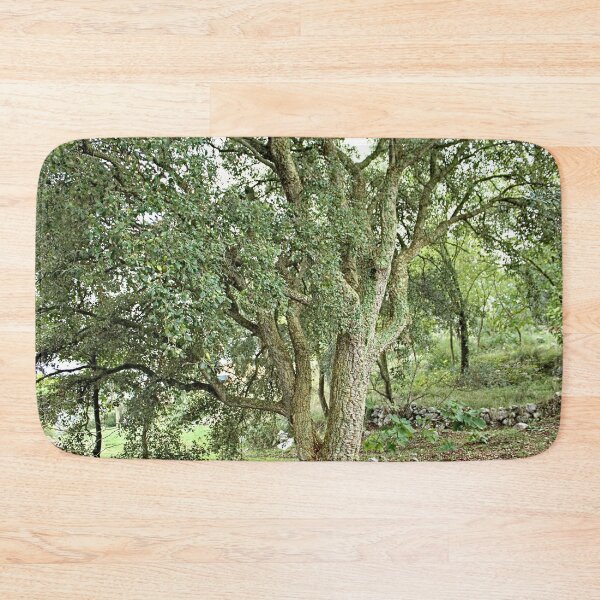 Item preview, Beautiful Cork Oak Tree designed and sold by worldways.