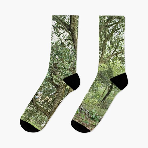 Item preview, Beautiful Cork Oak Tree designed and sold by worldways.