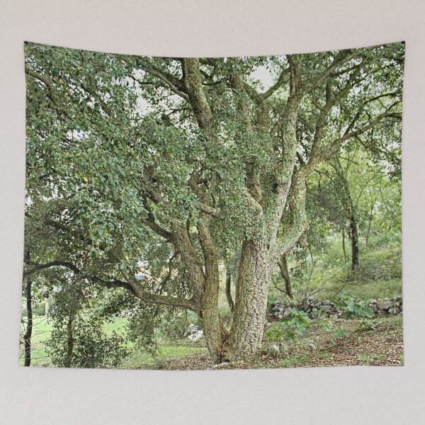 Item preview, Beautiful Cork Oak Tree designed and sold by worldways.