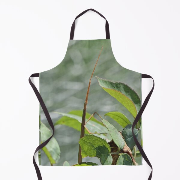 Item preview, r957 / New Finition 2021 " Le Légendaire Phasme du Jardin " (h) Olavia-Olao Okaio Créations designed and sold by o.okaïo.