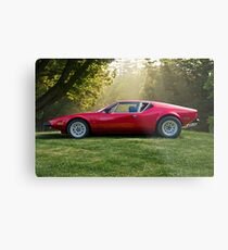 Pantera in Profile Metal Print