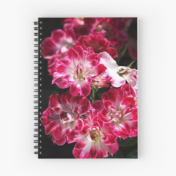 Item preview, Lush Carpet Roses designed and sold by Joy Watson - Natural Light Photography .