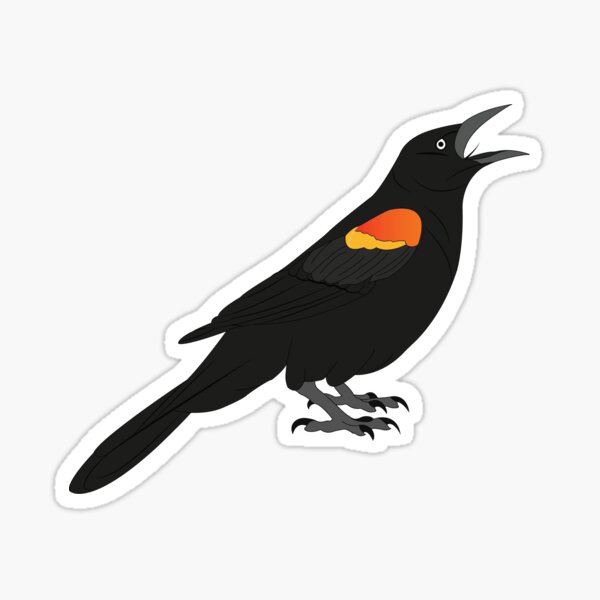 Red Winged Blackbird Sticker