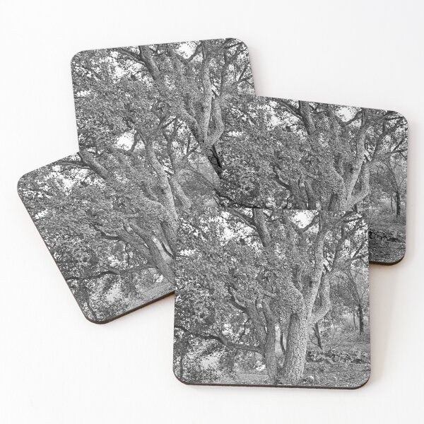 Item preview, Beautiful Cork Oak Tree Black and White designed and sold by worldways.
