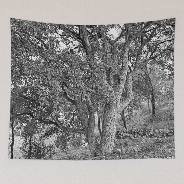 Item preview, Beautiful Cork Oak Tree Black and White designed and sold by worldways.