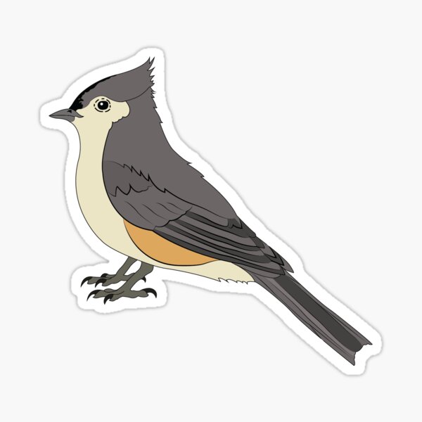 Tufted Titmouse Sticker