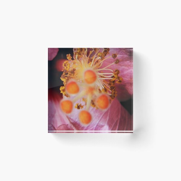 Item preview, Up Close And Personal With Your Hibiscus Pistil 11/06/2021 designed and sold by Mark Polk.