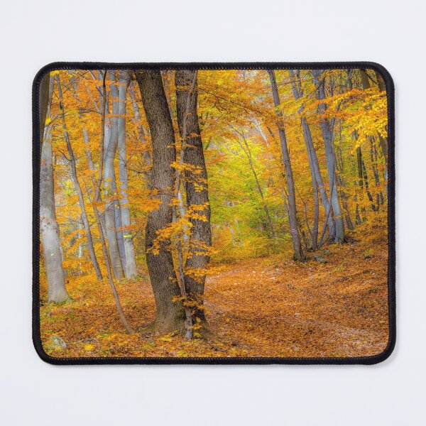 Item preview, Autumn colors designed and sold by PeterCseke.