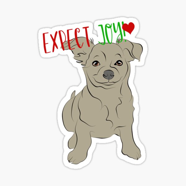 Expect Joy! By Littleviews Sticker