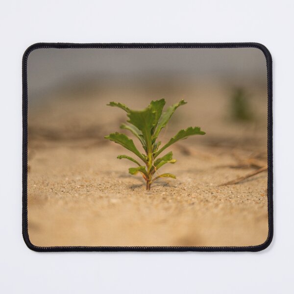 Item preview, Inkberry at Beach 3 designed and sold by KensLensDesigns.