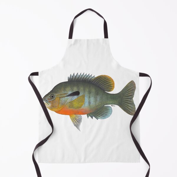 Item preview, Redbreast Sunfish (Lepomis auritus) designed and sold by LeakyCanoeArt.