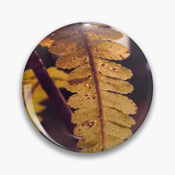 Item preview, Golden ferns in November designed and sold by Jouko Lehto Photography.