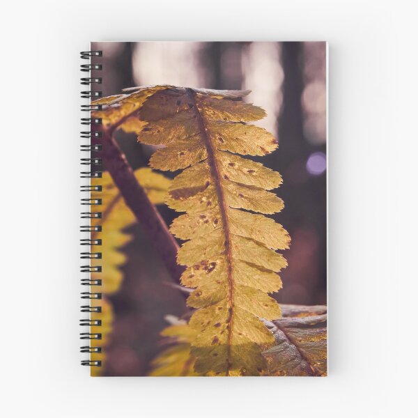 Item preview, Golden ferns in November designed and sold by Jouko Lehto Photography.