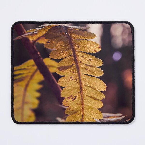 Item preview, Golden ferns in November designed and sold by Jouko Lehto Photography.