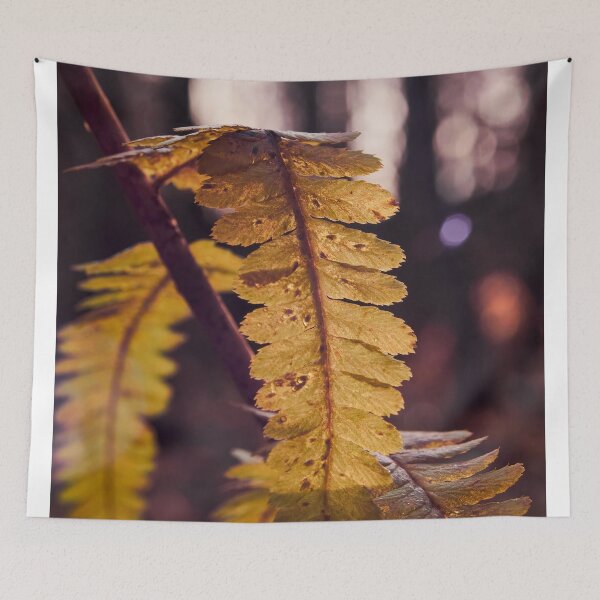 Item preview, Golden ferns in November designed and sold by Jouko Lehto Photography.