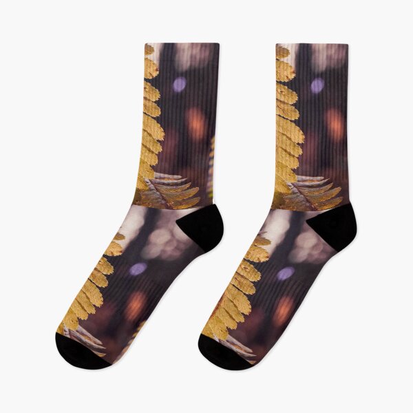 Item preview, Golden ferns in November designed and sold by Jouko Lehto Photography.