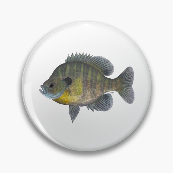 Item preview, Bluegill (Lepomis macrochirus) designed and sold by LeakyCanoeArt.