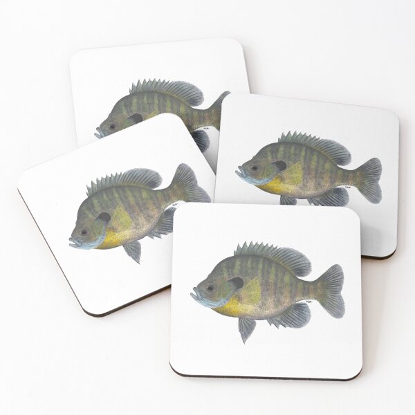 Item preview, Bluegill (Lepomis macrochirus) designed and sold by LeakyCanoeArt.