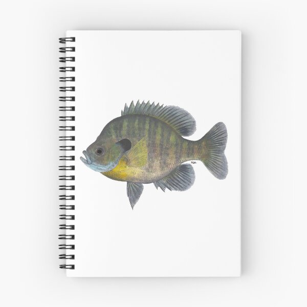Item preview, Bluegill (Lepomis macrochirus) designed and sold by LeakyCanoeArt.