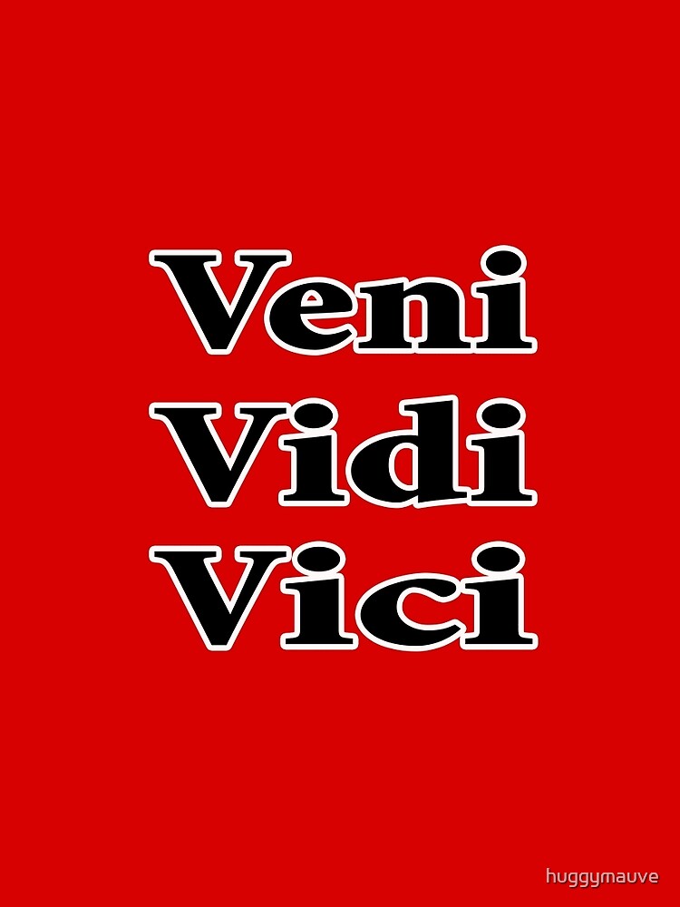 Veni vidi vici! - Funny  Veni vidi vici, Funny pictures, Funny