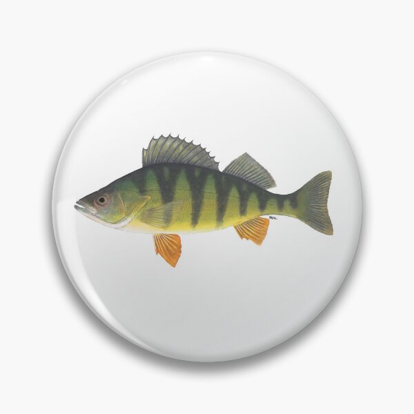 Item preview, Yellow Perch (Perca flavescens) designed and sold by LeakyCanoeArt.