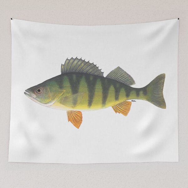 Item preview, Yellow Perch (Perca flavescens) designed and sold by LeakyCanoeArt.