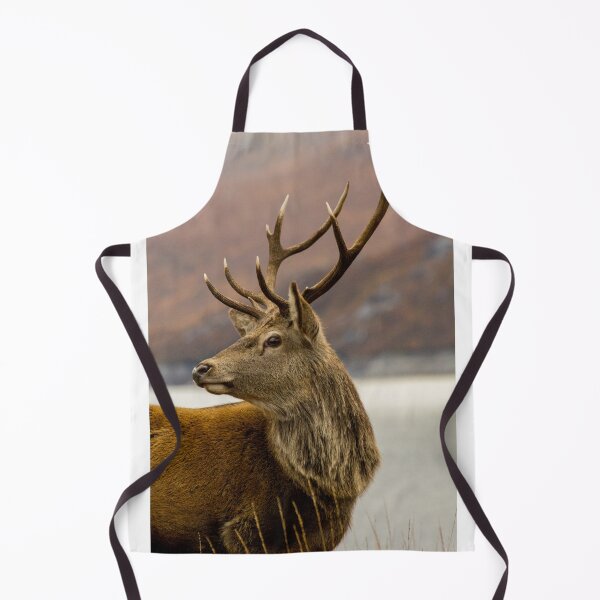 Item preview,  Autumnal Stag designed and sold by derekbeattie.