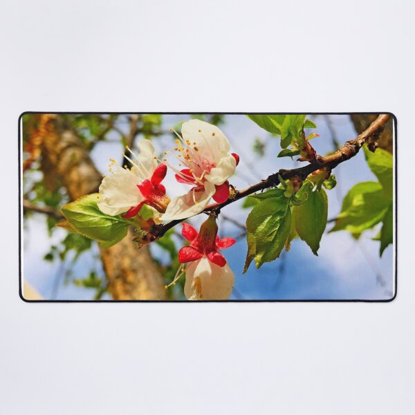 Item preview, Apricot flowers blossom photo by Iritof designed and sold by iritof.