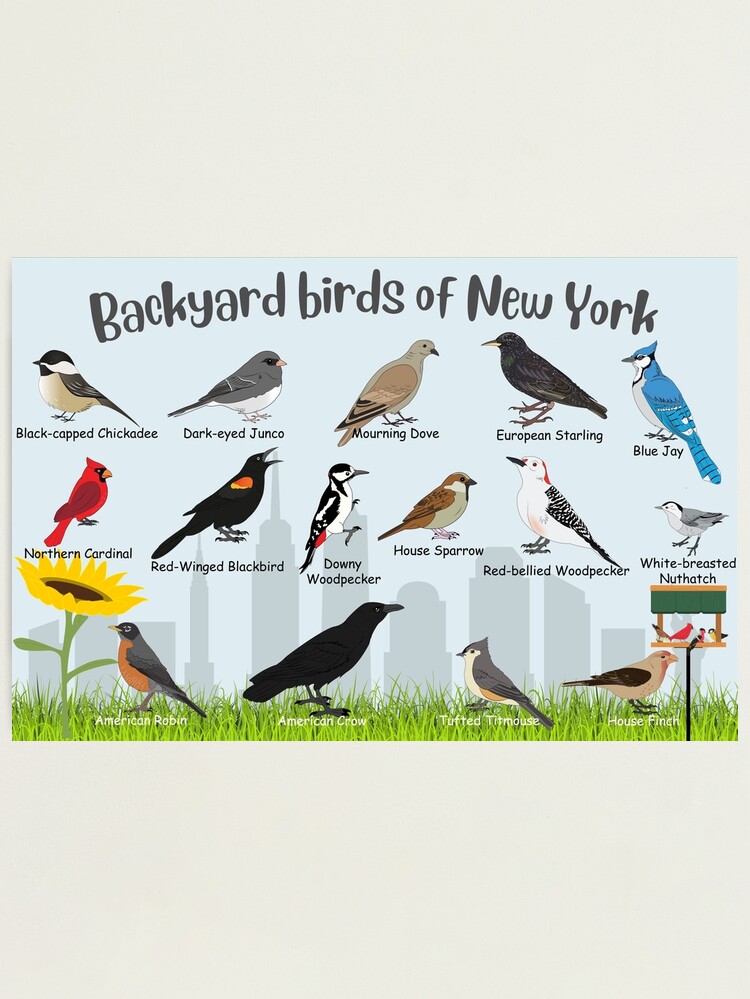 fpp,large,lustre,wall_texture,