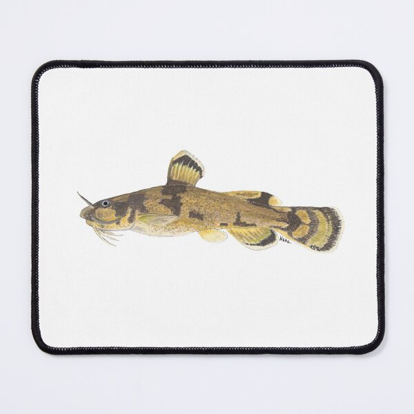 Item preview, Frecklebelly Madtom (Noturus munitus) designed and sold by LeakyCanoeArt.