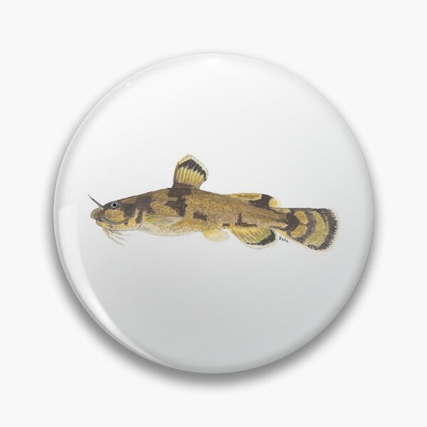 Item preview, Frecklebelly Madtom (Noturus munitus) designed and sold by LeakyCanoeArt.