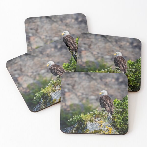 Item preview, Bald Eagle sitting on the rock designed and sold by Lyl Dil Creations.