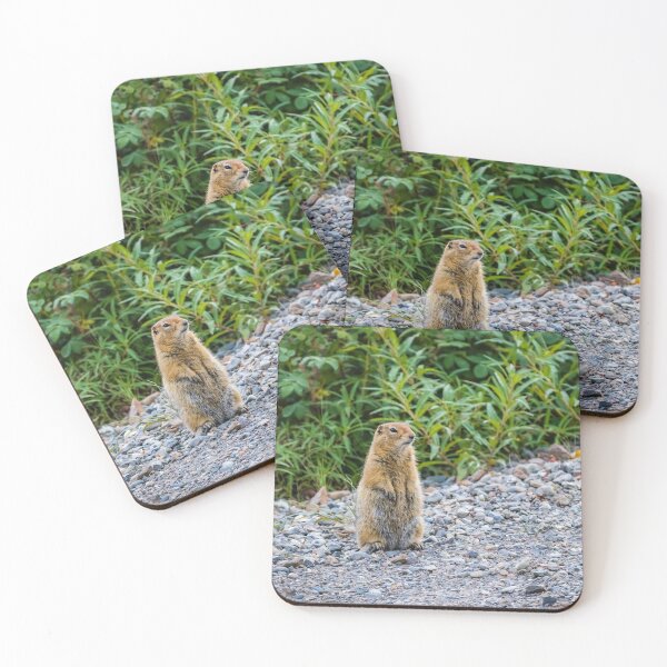 Item preview, An arctic ground squirrel designed and sold by Lyl Dil Creations.