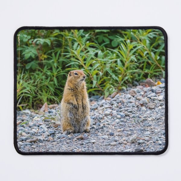 Item preview, An arctic ground squirrel designed and sold by Lyl Dil Creations.