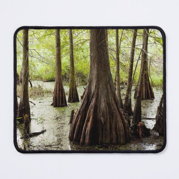 Item preview, Swamp, Lafayette, Louisiana designed and sold by OrcaNature.