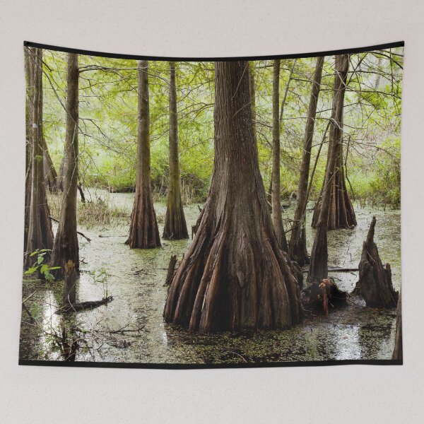 Item preview, Swamp, Lafayette, Louisiana designed and sold by OrcaNature.