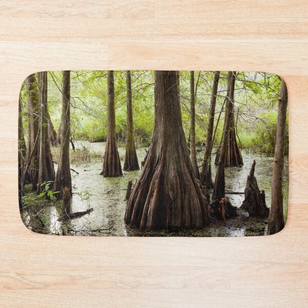 Item preview, Swamp, Lafayette, Louisiana designed and sold by OrcaNature.