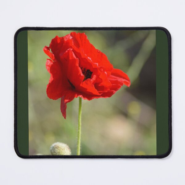 Item preview, Nature of Red - photography designed and sold by LiviJoanna.