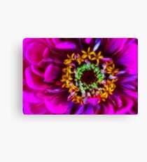 Blossoming Kaleidoscope Canvas Print