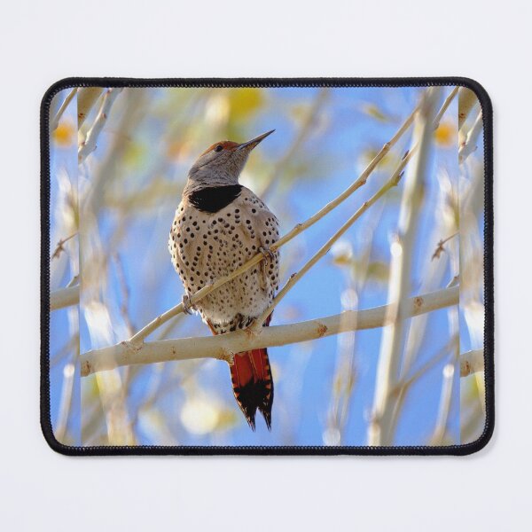 Item preview, Northern Flicker  designed and sold by CarolM.