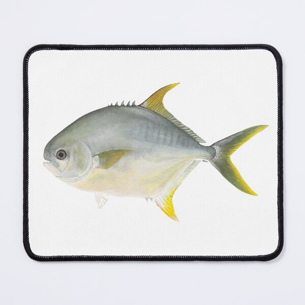 Item preview, Florida Pompano (Trachinotus carolinus) designed and sold by LeakyCanoeArt.