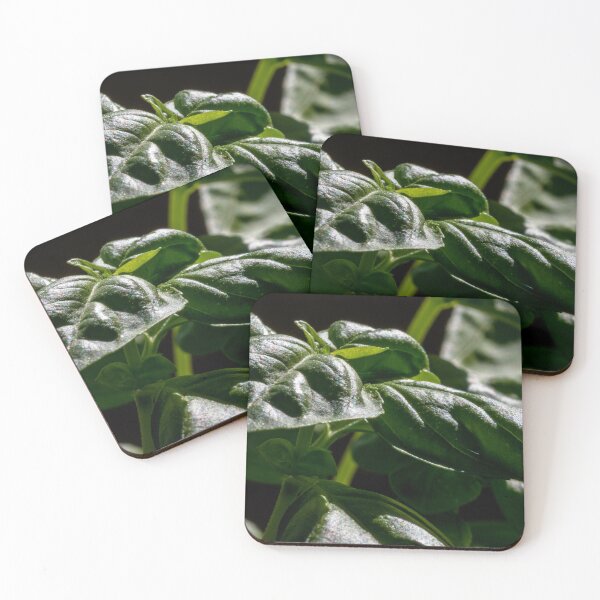 Item preview, Basil in the planter. designed and sold by CanadianWild418.