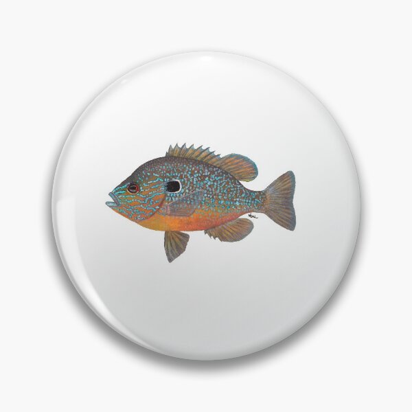 Item preview, Longear Sunfish (Lepomis megalotis) designed and sold by LeakyCanoeArt.