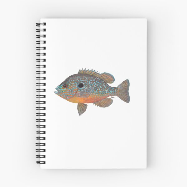 Item preview, Longear Sunfish (Lepomis megalotis) designed and sold by LeakyCanoeArt.