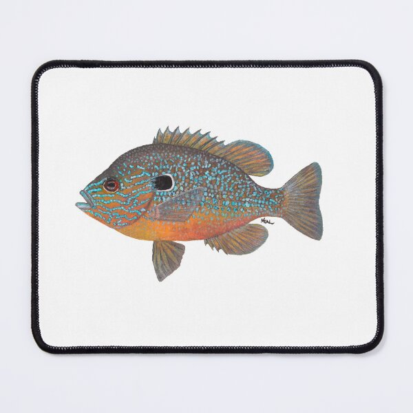 Item preview, Longear Sunfish (Lepomis megalotis) designed and sold by LeakyCanoeArt.