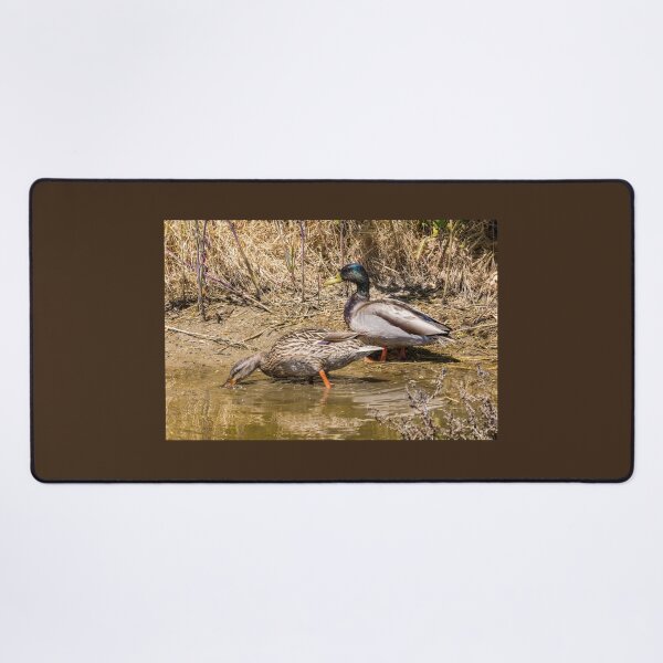 Item preview, Mr. and Mrs. Mallard designed and sold by CarolM.