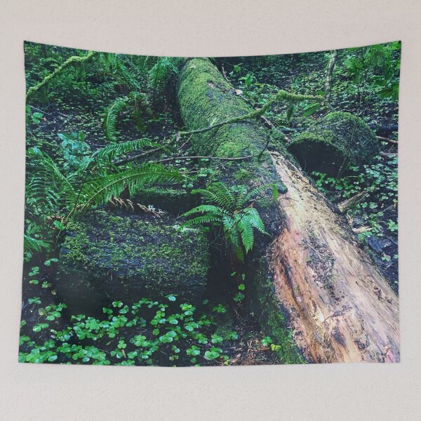 Item preview, Redwood Fallen Tree designed and sold by Lylabean22.