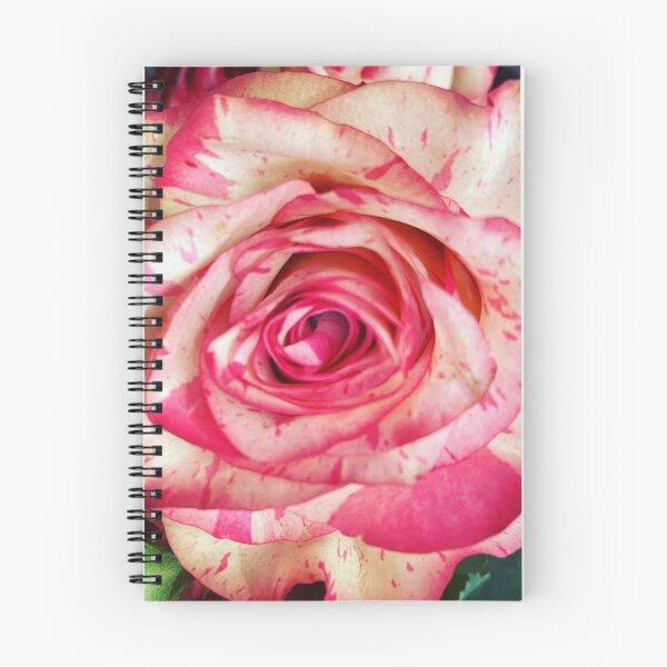 Item preview, White with Pink Rose designed and sold by Amanda JK.