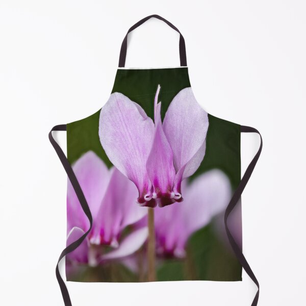 Item preview, cyclamen hederifolium, ivy-leaved cyclamen designed and sold by Graham Prentice.